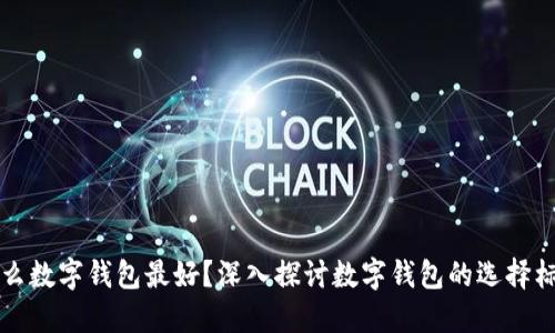 什么数字钱包最好？深入探讨数字钱包的选择标准